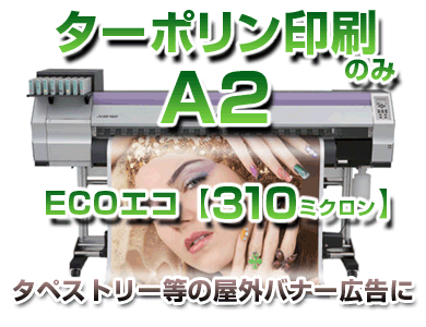 A2�����ݥ�����