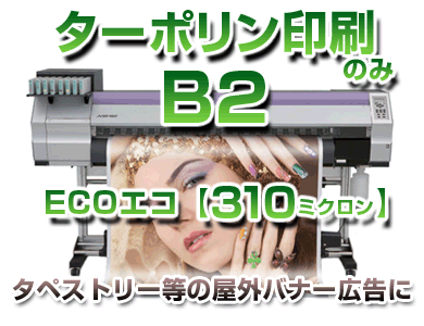 A2�ݥ���������